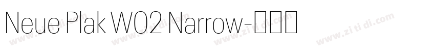 Neue Plak W02 Narrow字体转换 Neue Plak W02 Narrow字体转换